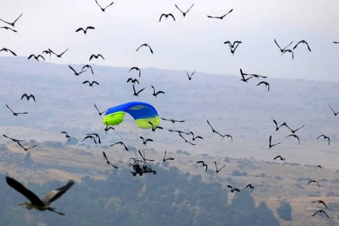 Flying ATV North