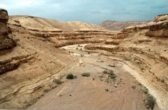Jeep tour in Ramat Negev