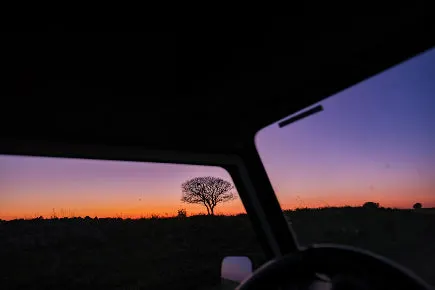 Night safari in the northern Golan Heights