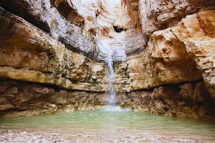 Ein Gedi