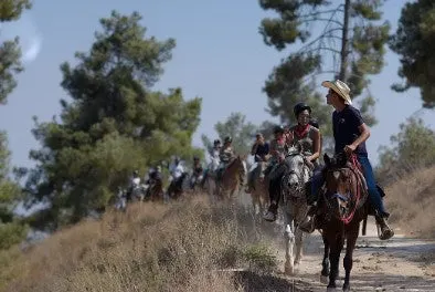 Horseback riding in the Biriya forest