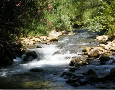 Nachal Snir